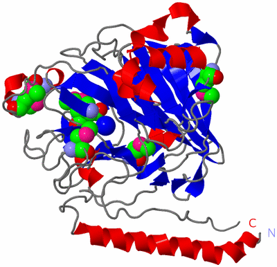 Image Asym./Biol. Unit