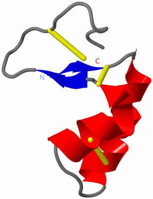 Image NMR Structure - model 1