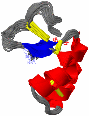 Image NMR Structure - all models