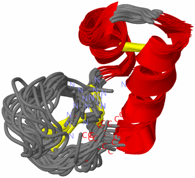 Image NMR Structure - all models