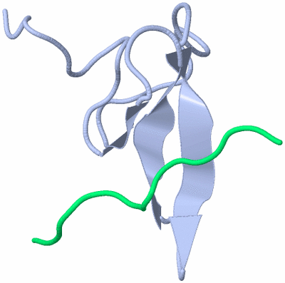 Image NMR Structure - model 1