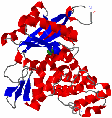 Image Asym./Biol. Unit