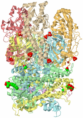 Image Asym./Biol. Unit