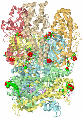 Image Asym./Biol. Unit - sites