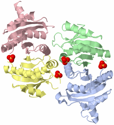 Image Biological Unit 3