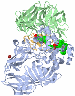 Image Biological Unit 1