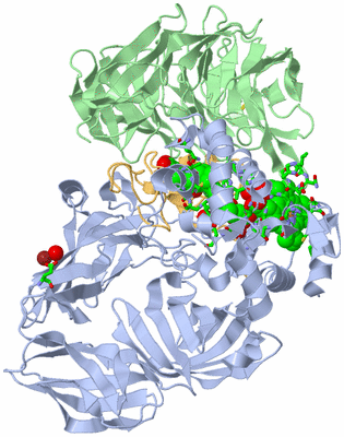 Image Biol. Unit 1 - sites