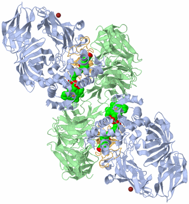 Image Biological Unit 2