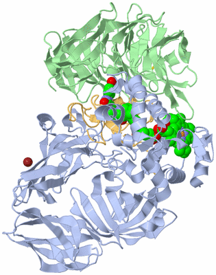 Image Biological Unit 1