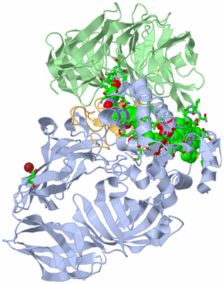 Image Biol. Unit 1 - sites