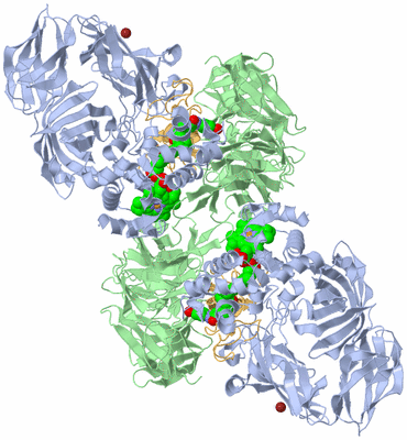 Image Biological Unit 2