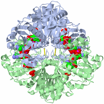 Image Biological Unit 1