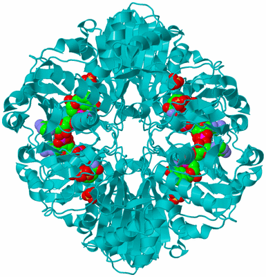 Image Biological Unit 2