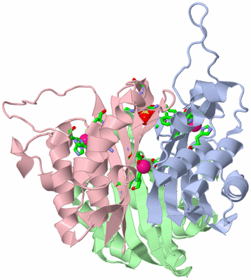 Image Biol. Unit 1 - sites