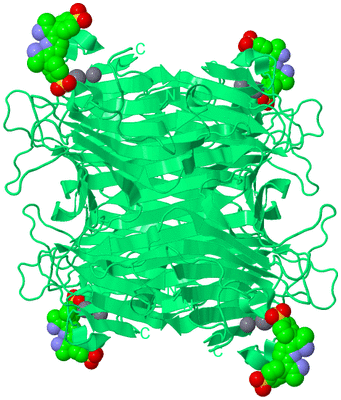 Image Biological Unit 2