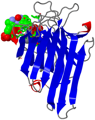 Image Asym. Unit - sites