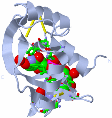 Image Biol. Unit 1 - sites