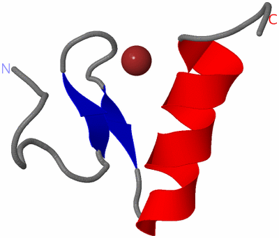 Image NMR Structure - model 1