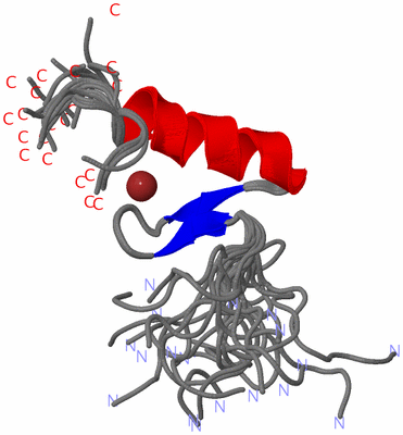 Image NMR Structure - all models