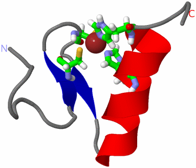 Image NMR Structure - model 1, sites