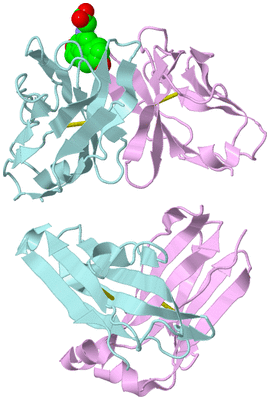 Image Biological Unit 3