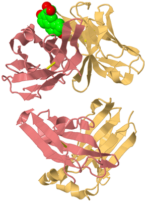 Image Biological Unit 4