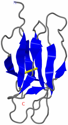 Image NMR Structure - model 1