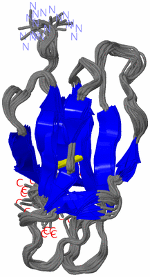 Image NMR Structure - all models