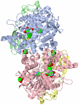 Image Asym./Biol. Unit