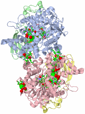 Image Asym./Biol. Unit - sites