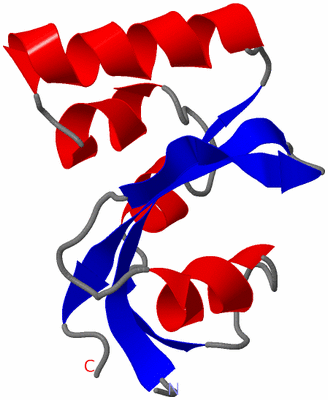 Image NMR Structure - model 1