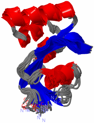 Image NMR Structure - all models