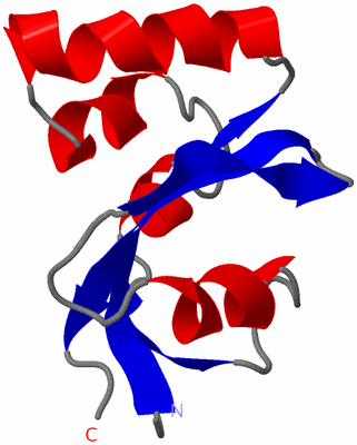 Image NMR Structure - model 1