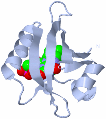 Image Biological Unit 1