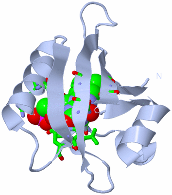 Image Biol. Unit 1 - sites