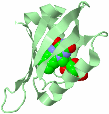 Image Biological Unit 2