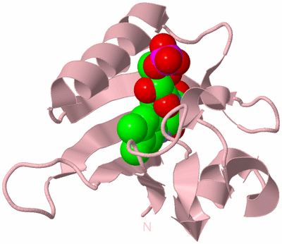 Image Biological Unit 3