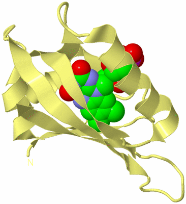 Image Biological Unit 4