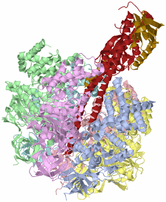 Image Asym./Biol. Unit