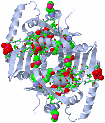 Image Biol. Unit 1 - sites