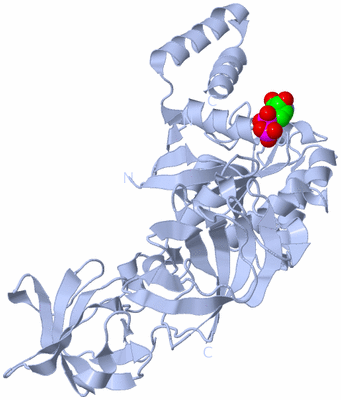 Image Biological Unit 1