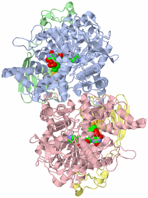 Image Asym./Biol. Unit