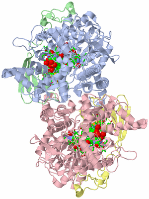 Image Asym./Biol. Unit - sites