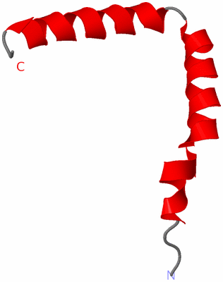 Image NMR Structure - model 1