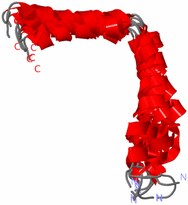 Image NMR Structure - all models