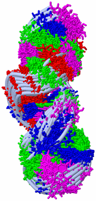 Image NMR Structure - all models