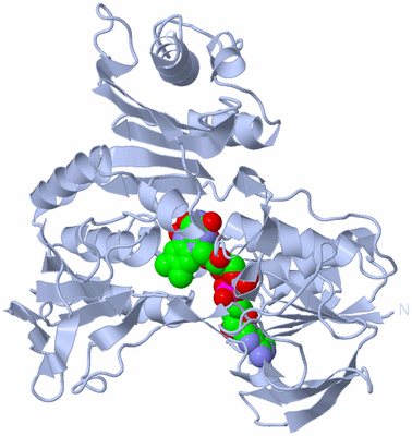 Image Biological Unit 1