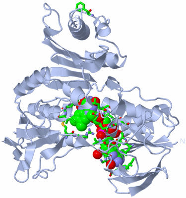 Image Biol. Unit 1 - sites