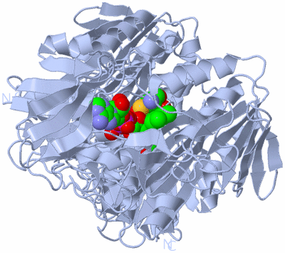 Image Biological Unit 2