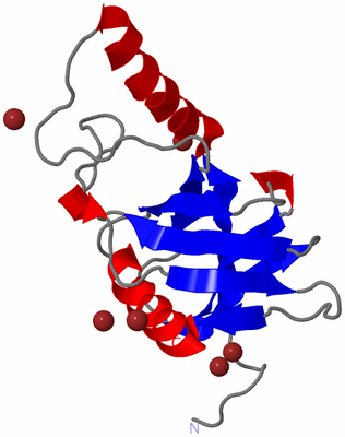 Image Asymmetric Unit